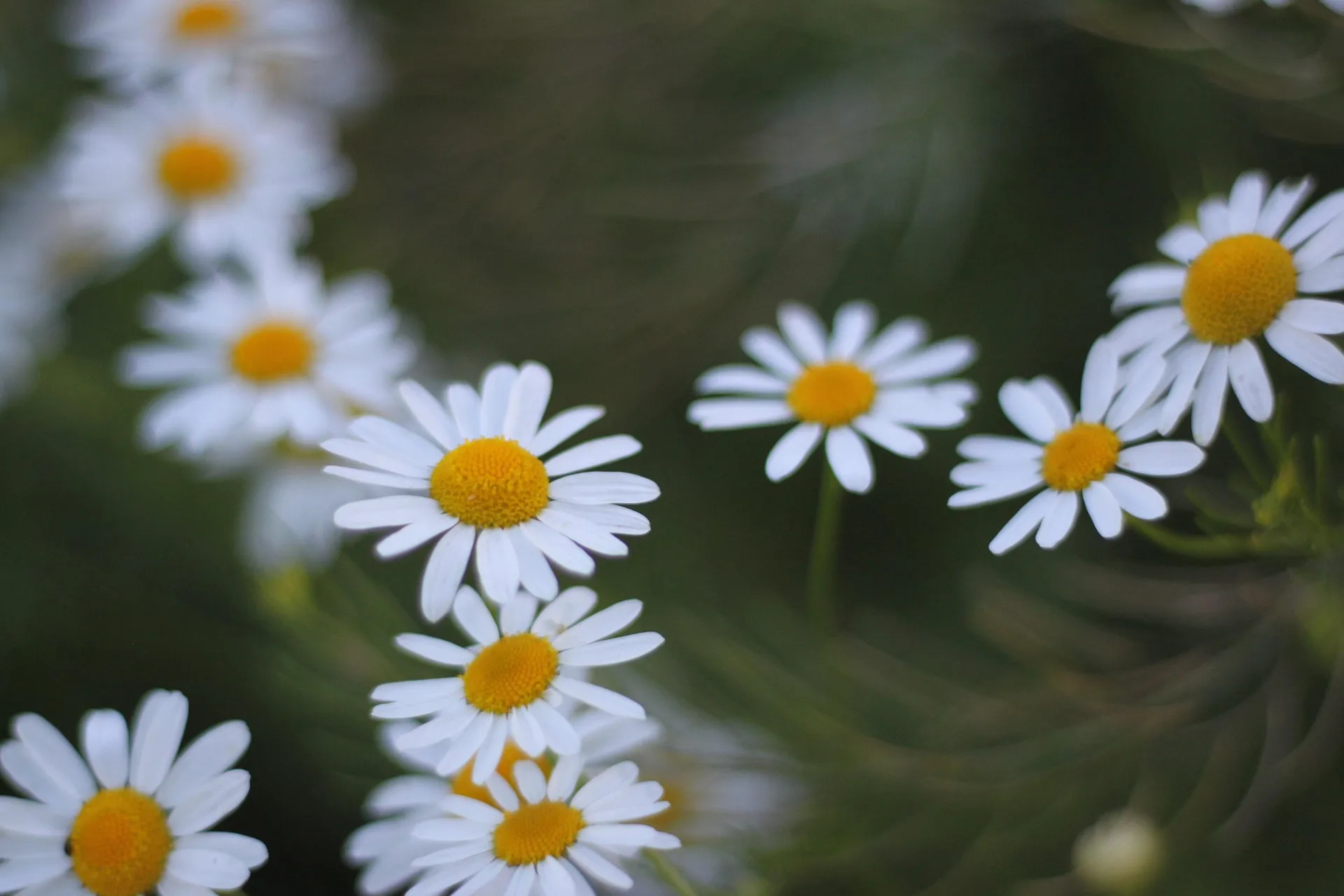 Întârzierea mintală reală și falsa întârziere mentală