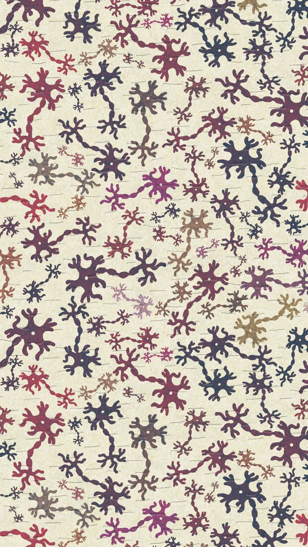 Corelația dintre întârzierea mintală și întârzierea limbajului